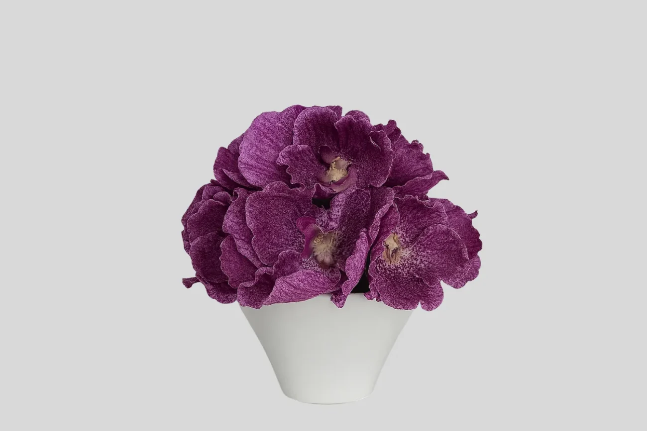 deco orchiea vanda H15/9.5/