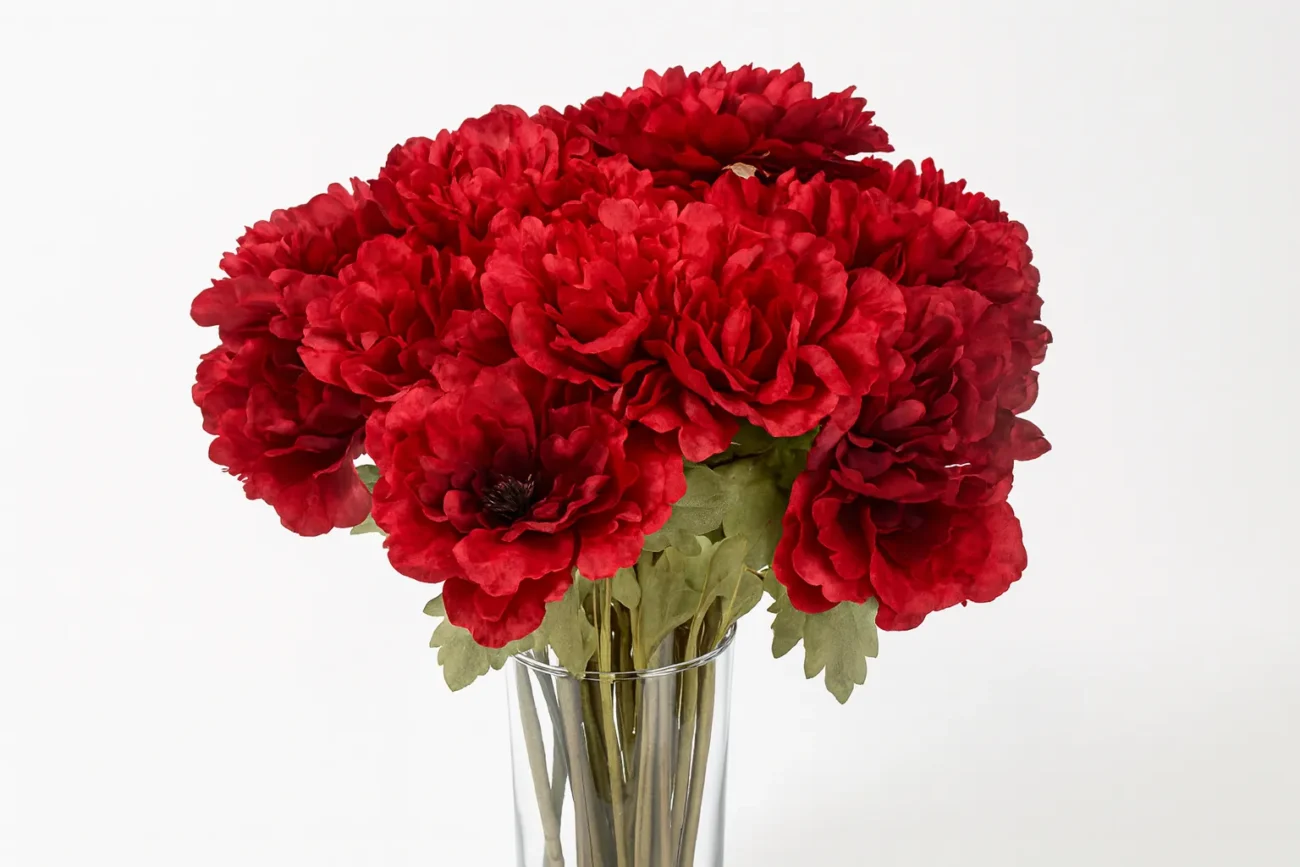 An?mone rouge 45cm