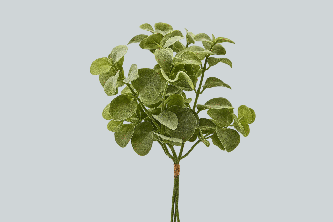 EDERA OLIS CESP.H95LT.GREEN