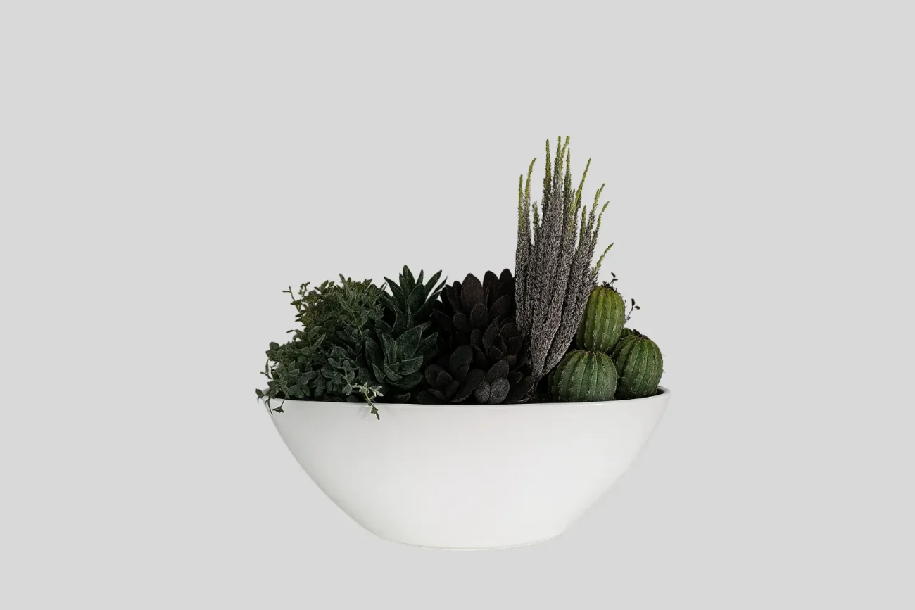 Succulent bell mix H30/24.5/