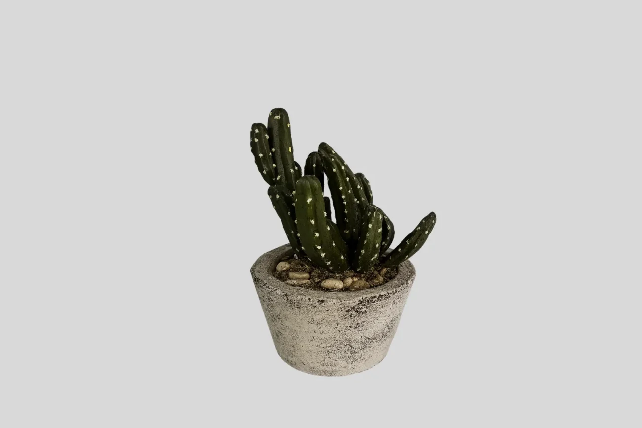 Cactus duke H20 /3.6/