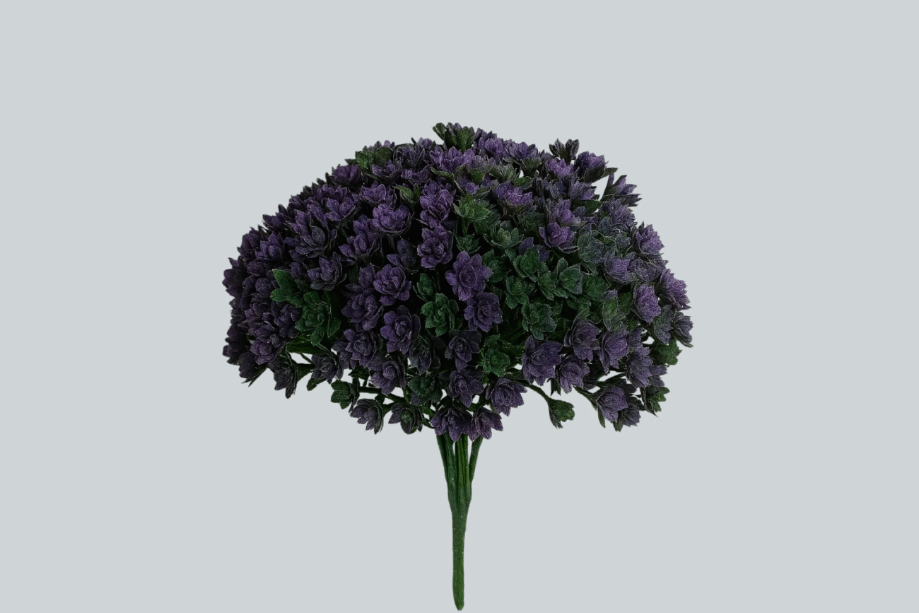 plamp plant