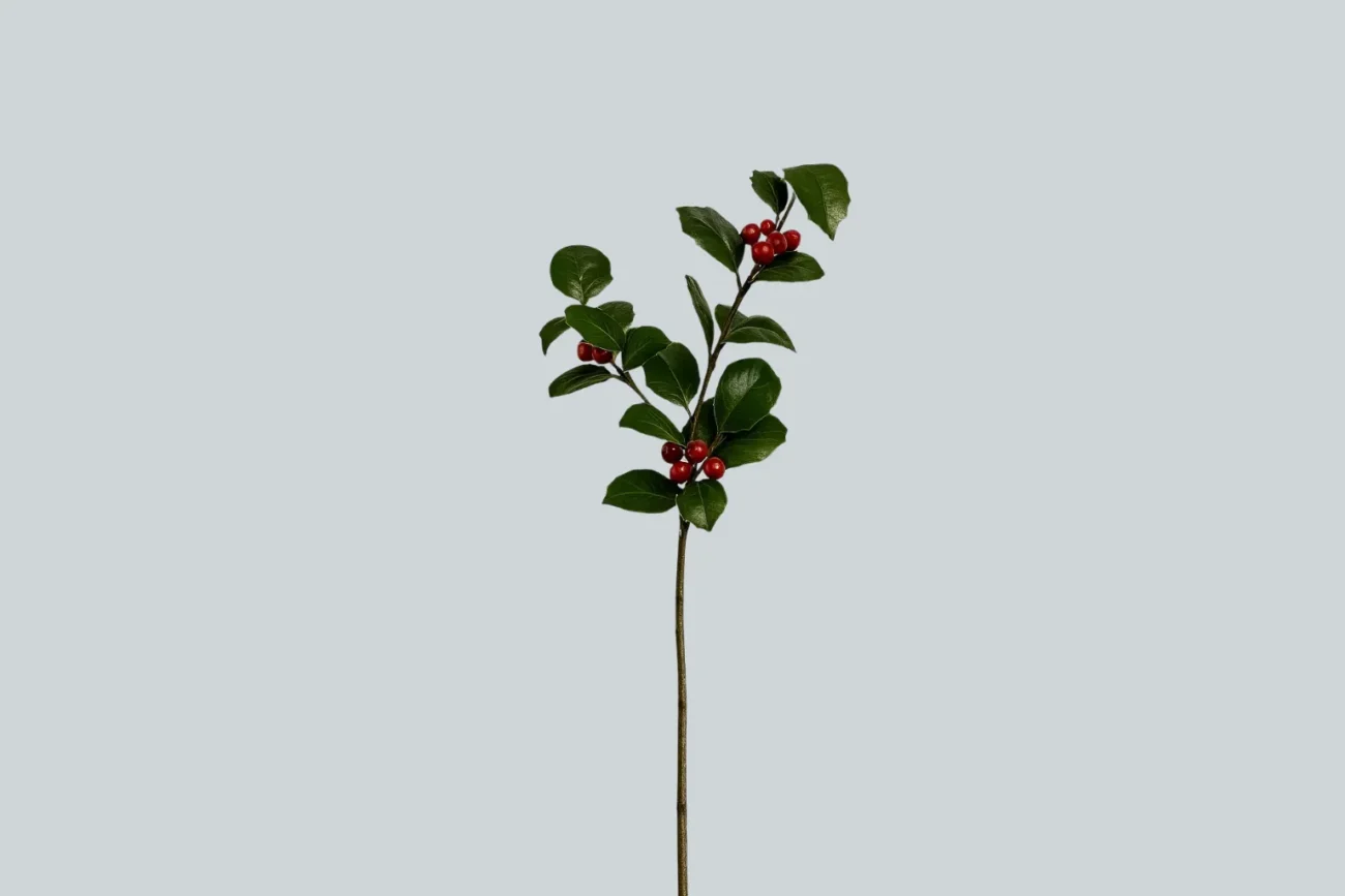 PODS DUKE RAMO  H70   '15    27,5"FIG BRANCH