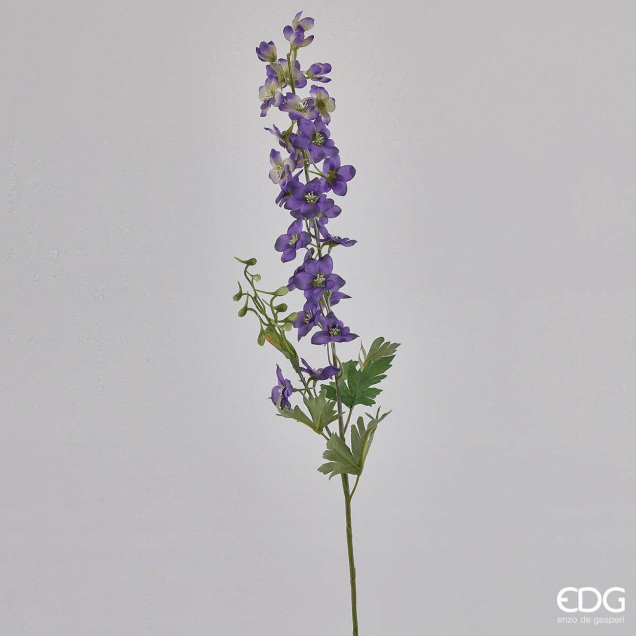 DELPHINIUM EDEN RAMO H79
VIOLET