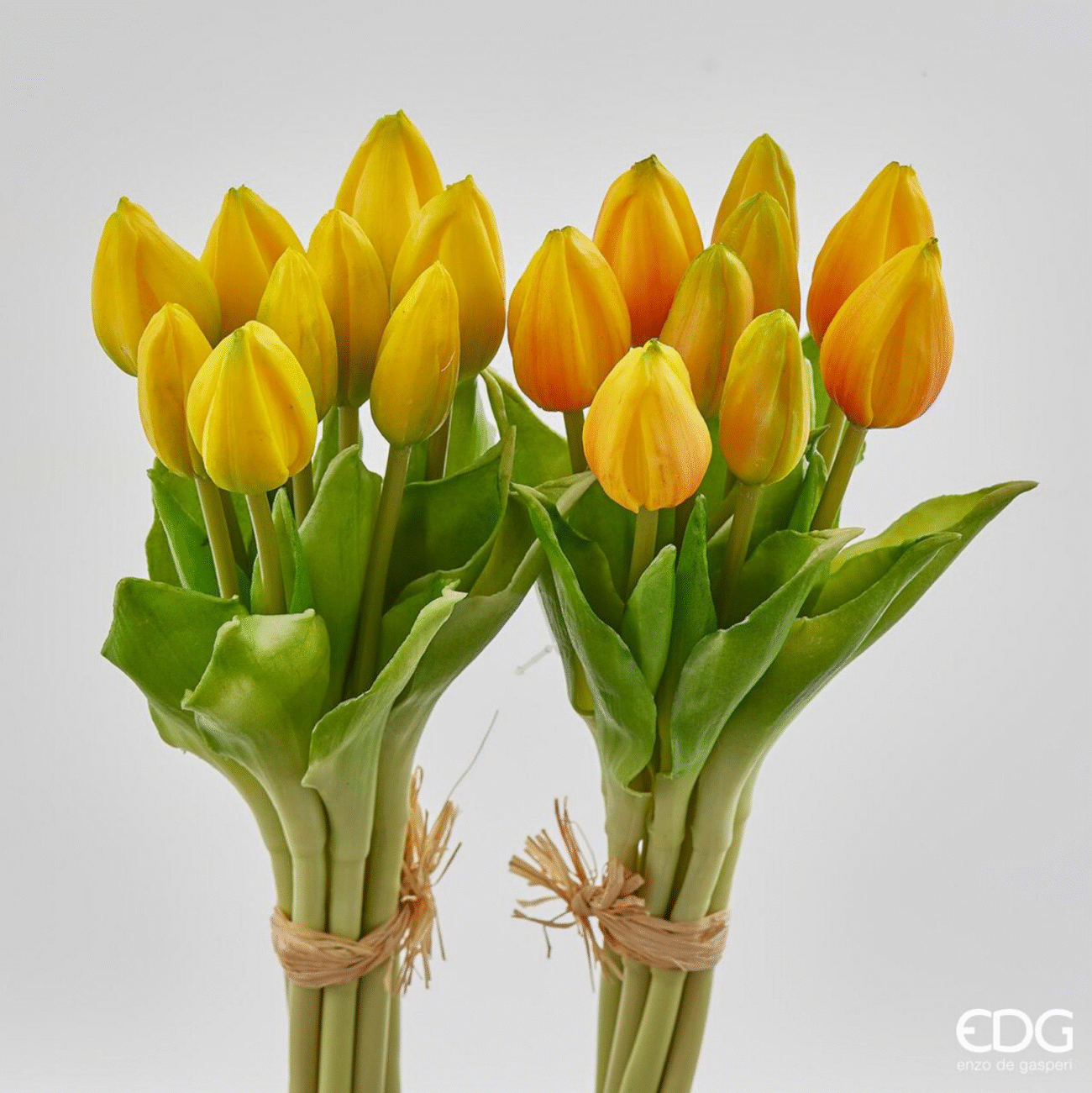 TWO TONE PINK
TULIPANO GOMMA BOCC.MZ9PZ H29