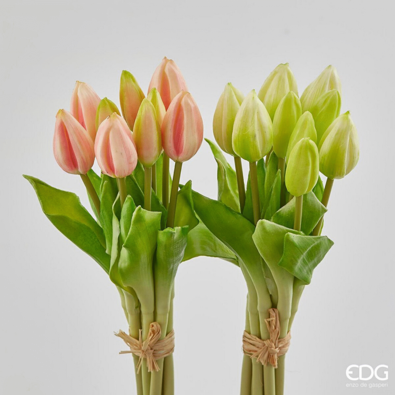 GREEN PINK
TULIPANO GOMMA BOCC.MZ9PZ H29