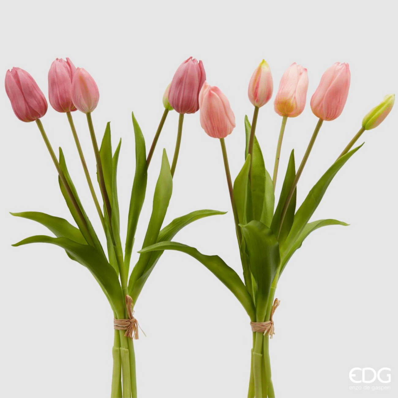 TWO TONE PINK
AMARYLLIS REX RAMO X3(2ASS)H78